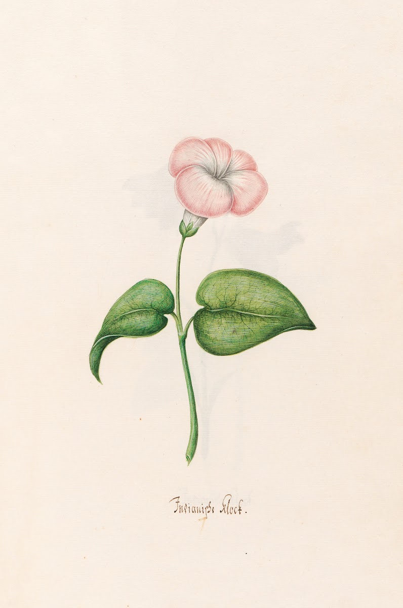 Indianishe klock 1692