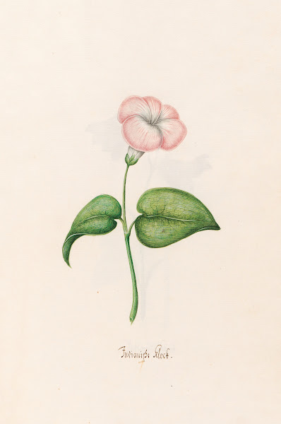 Indianishe klock 1692