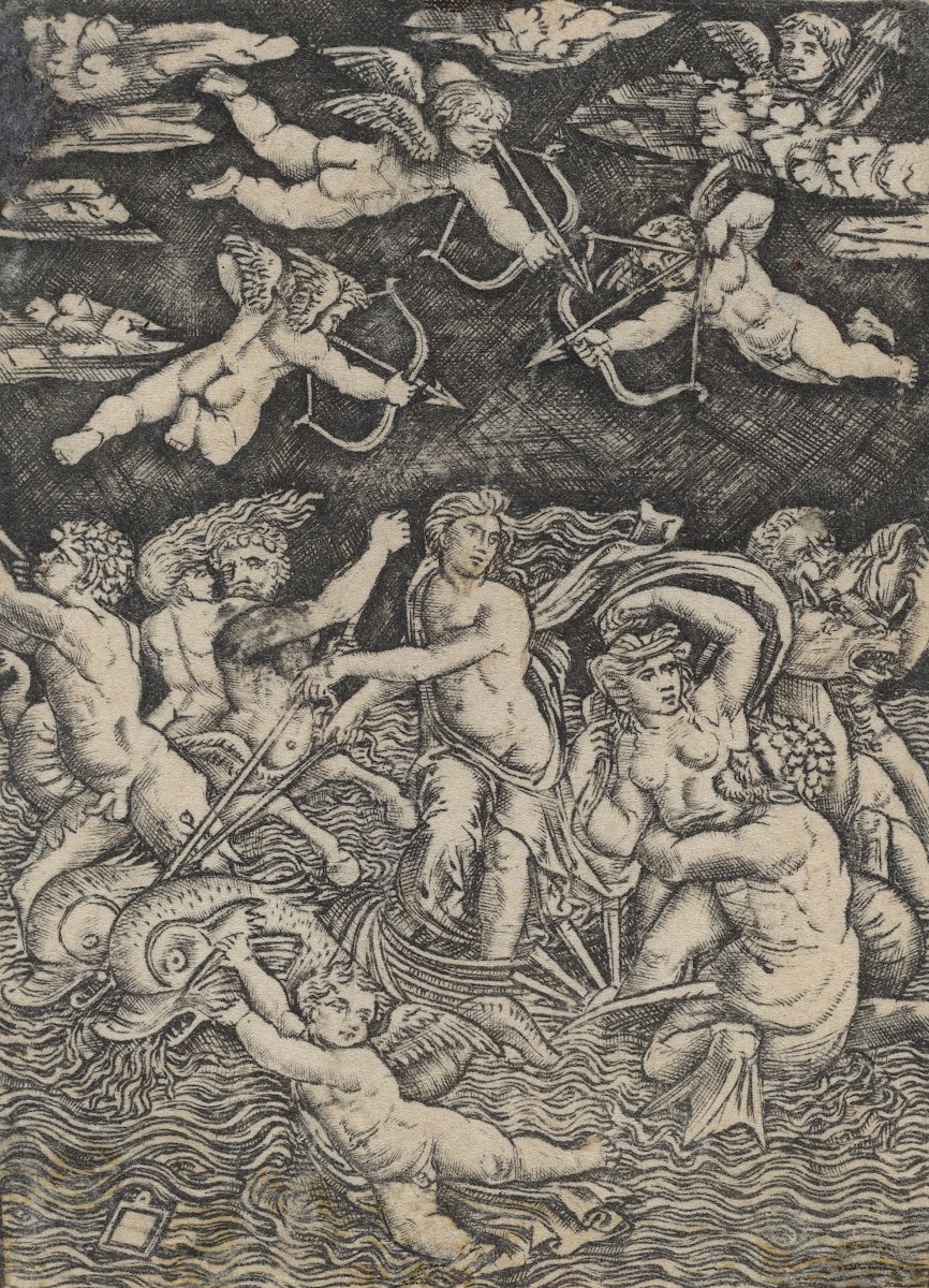 The Triumph of Galatea c 1520