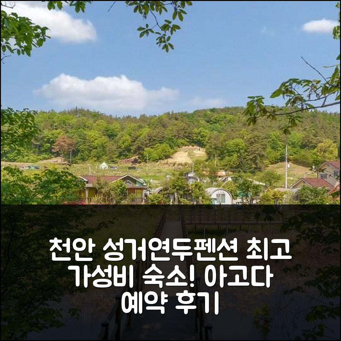 천안 성거연두펜션: 천안 최고의 가성비 숙소 예약 후기! - 아고다 호텔 추천