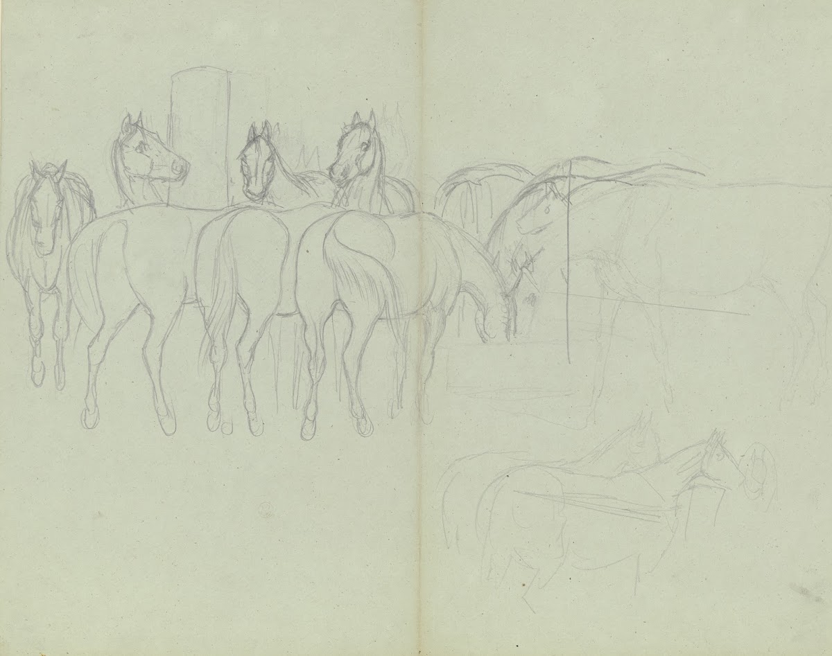 Herd of horses grazing