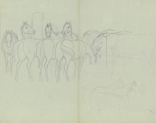 Herd of horses grazing