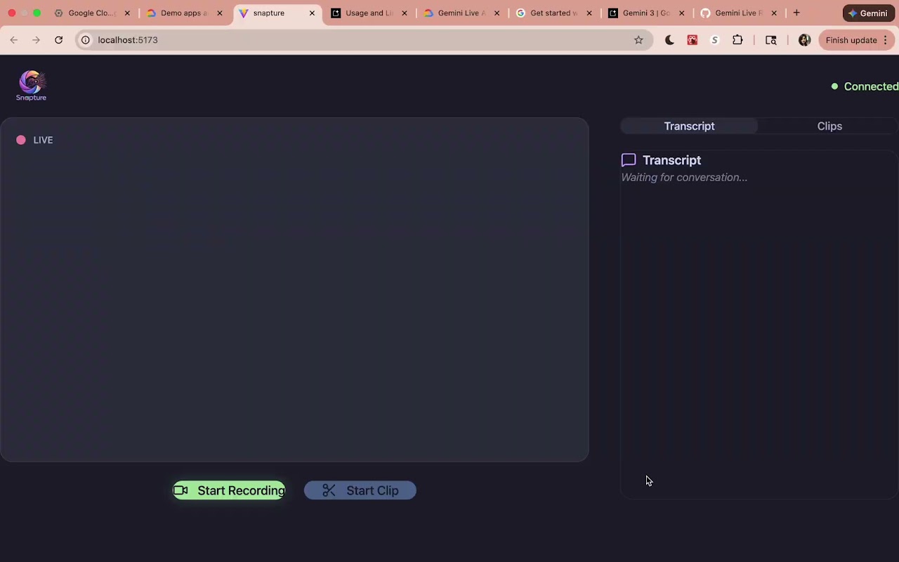 Snapture project preview