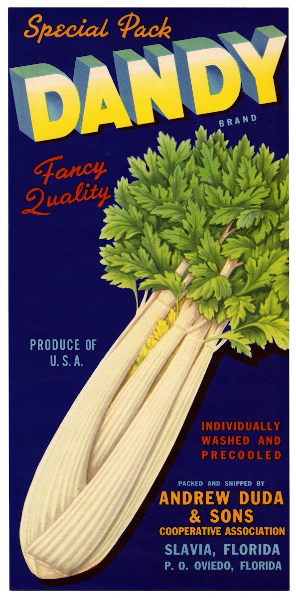 Dandy Brand Celery Label 1930 1950
