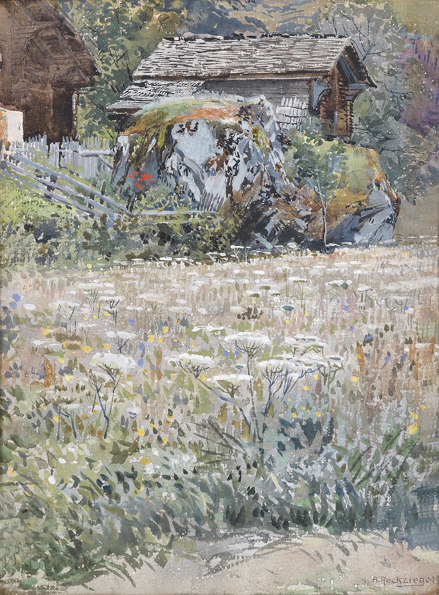 Blumenwiese auf dem Lande