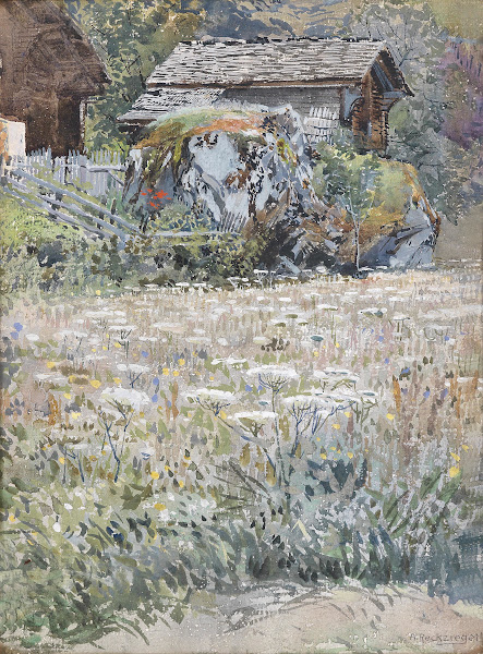 Blumenwiese auf dem Lande
