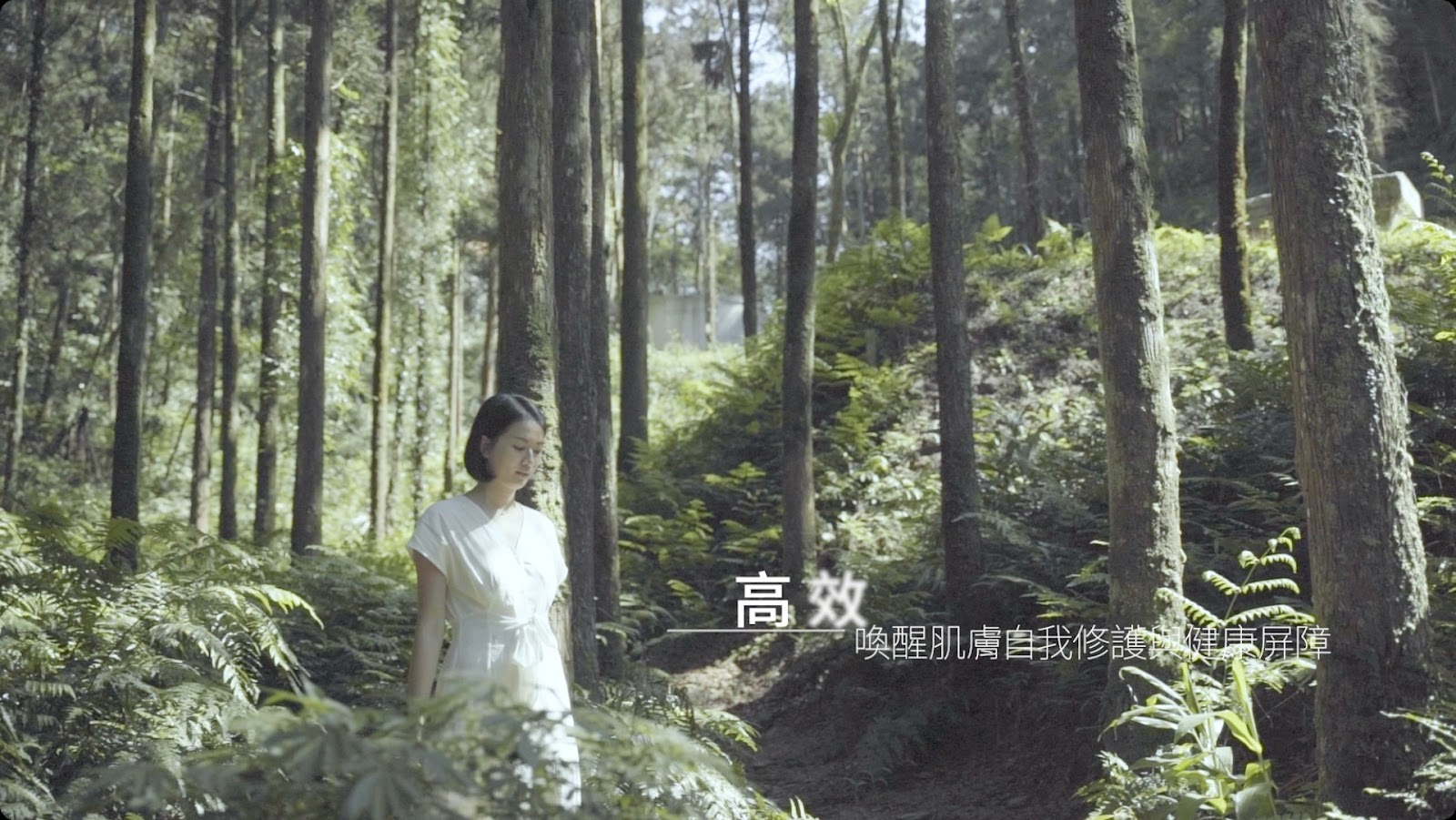 莊園形象片 screenshot 18