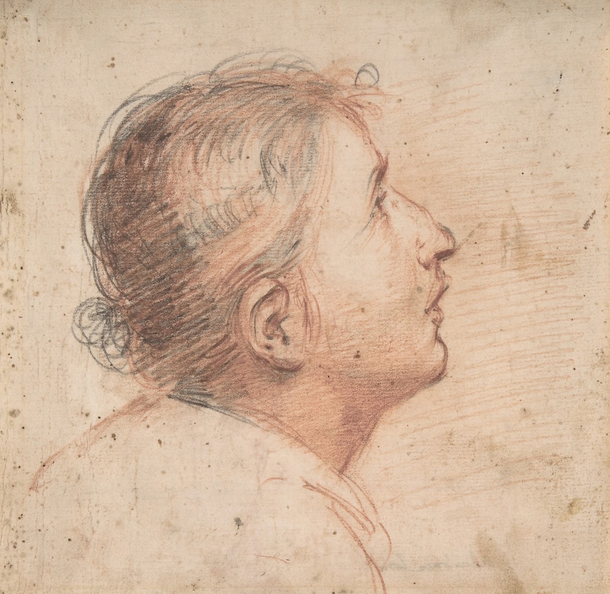 Youth Gazing Upwards in Profile 160761