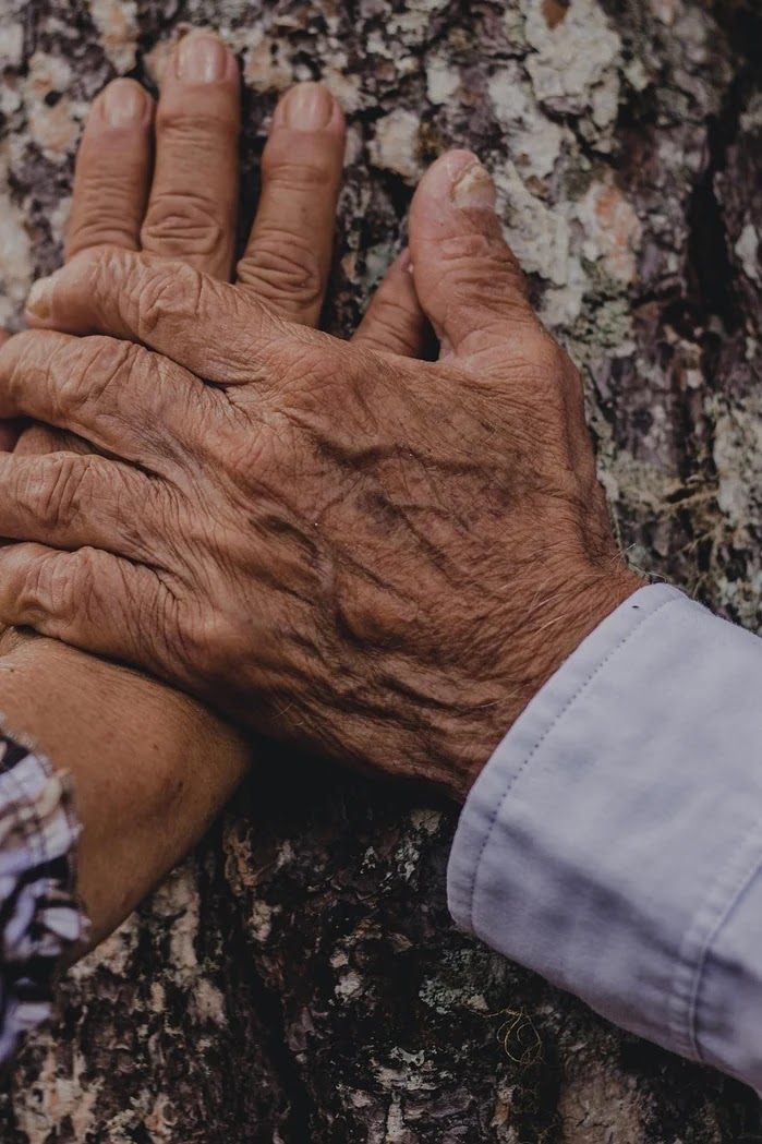 멜로 드라마와 로맨스 웹툰의 감정 전달 구조 분석