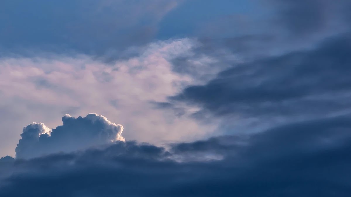 네이버 클라우드와 구글 드라이브 비교, 용도별 최적 활용법