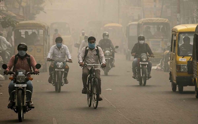 Vehicle Emissions Health Risks: PM2.5 Harms Lungs and Heart
