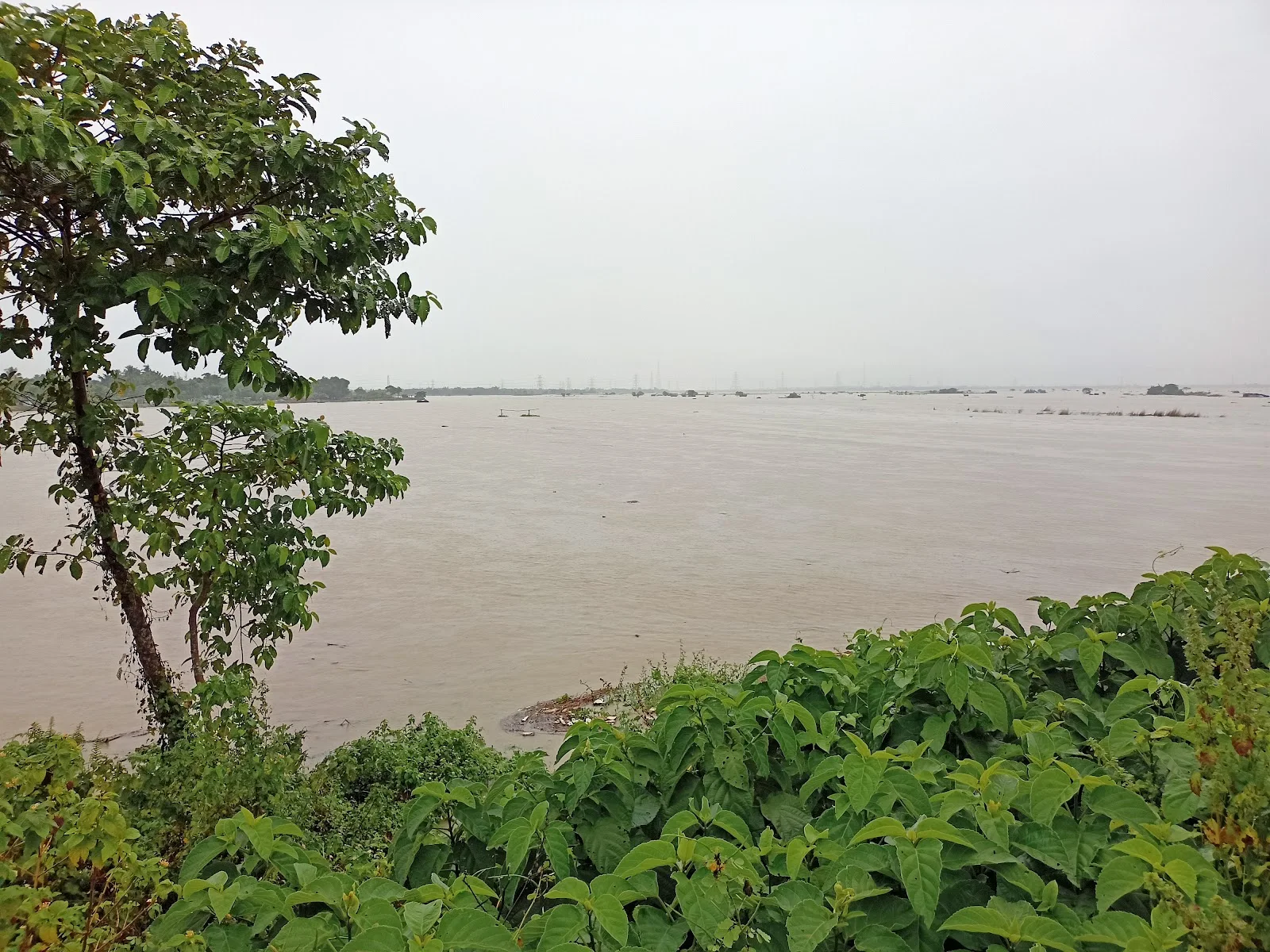 Teesta River