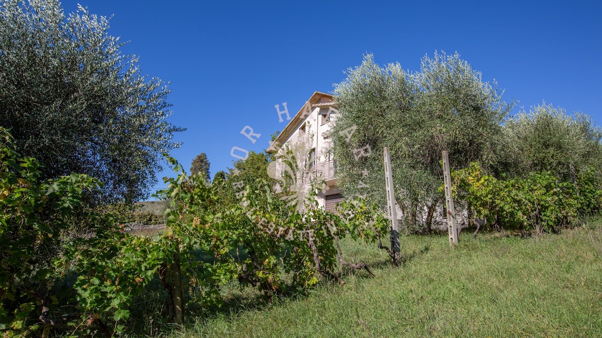 וילה אלנה (Villa Elena) — 7