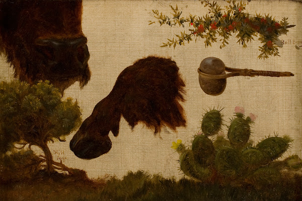 Study for The Wounded Buffalo hill sage buffalo head and hoof bull berry stone a