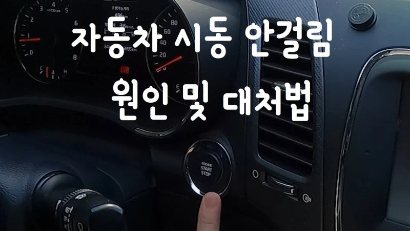 섹션 3 이미지