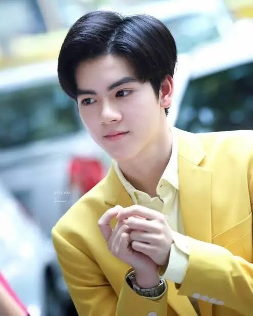 ยงศิลป์ วงศ์พนิตนนท์