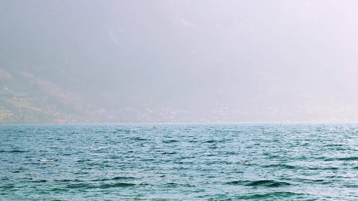 수출입 통관 지연 원인별 대응 전략과 사례 분석