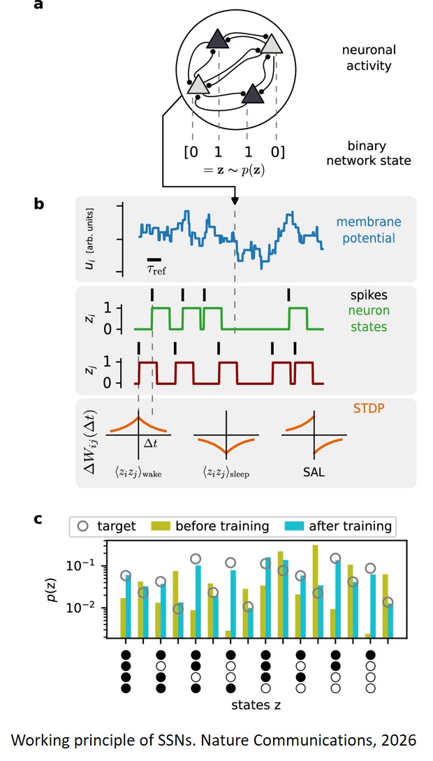 Spike-based alignment learning solves the weight transport problem