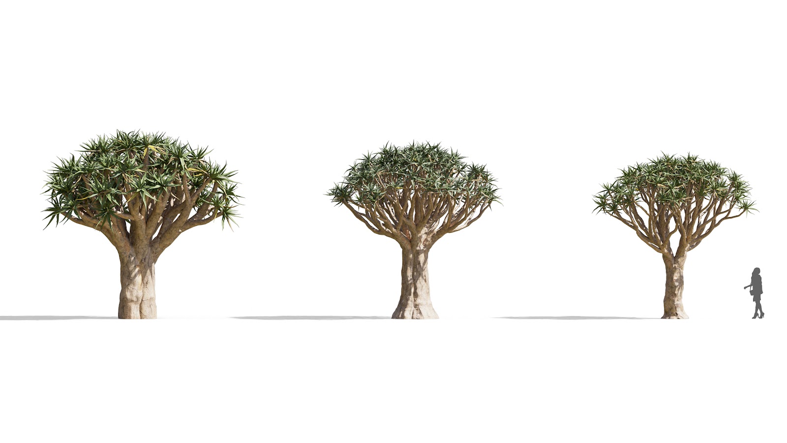 Maxtree - Plant Models Vol.73