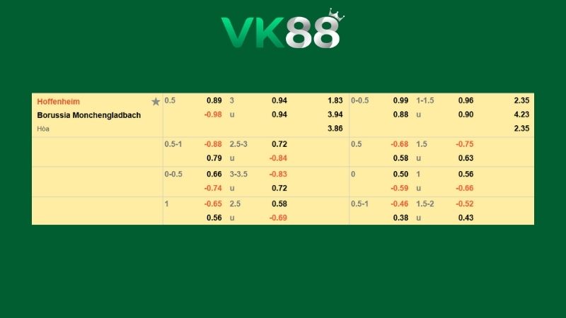 Bảng kèo Hoffenheim vs Borussia M’gladbach