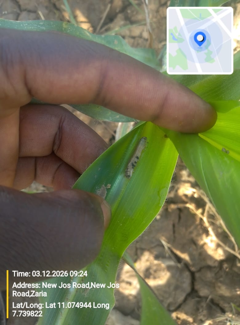 Kaduna & Kano deployment — rural site