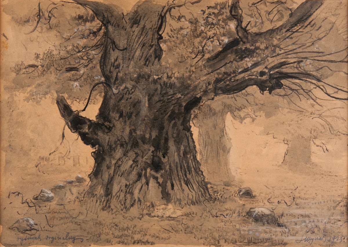 Rogalin Oaks 1925