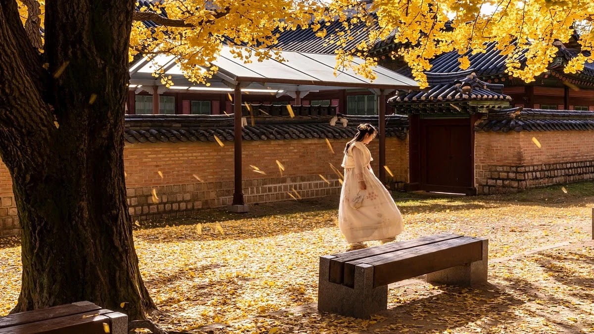 한복 색상과 가족 재산 이전 시 상징적 의미와 법적 해석