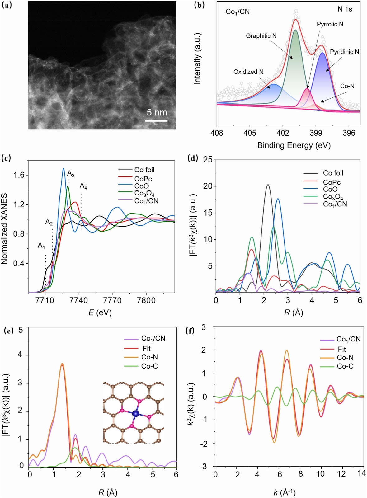 Atomically Dispersed Metal Atoms: Minimizing Interfacial Charge Transport Barrier for Efficient Carbon-Based Perovskite Solar Cells