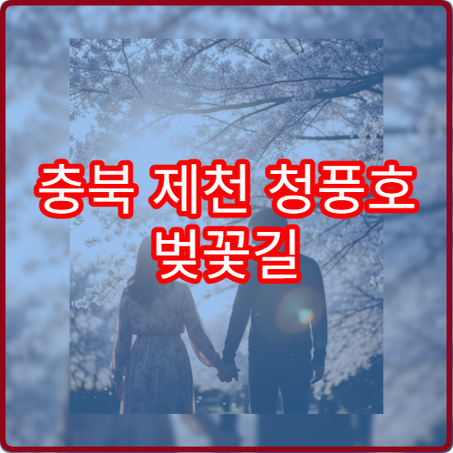 충북 제천 청풍호 벚꽃길 4월 초 가족 드라이브 완벽 코스