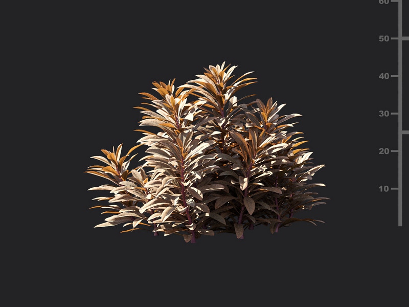 Maxtree - Plant Models Vol.119