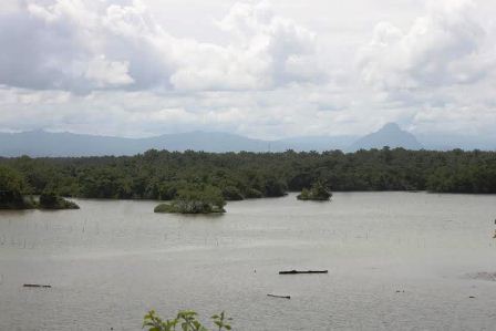 Karang Tinggi: Pusat Budaya dan Wisata Kabupaten Bengkulu Tengah