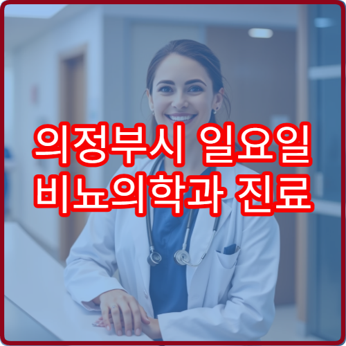 의정부시 일요일 비뇨의학과 진료 병원 방광염·전립선 상담 가능