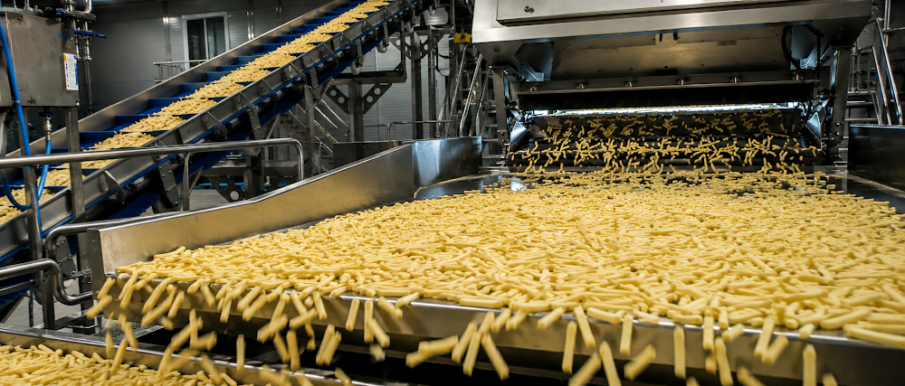 French Fries — SANAM Engineering Industries