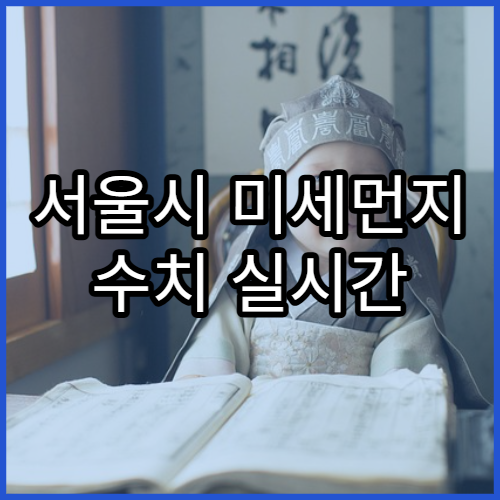 서울시 미세먼지 수치 실시간 확인 | 대기질 개선사업