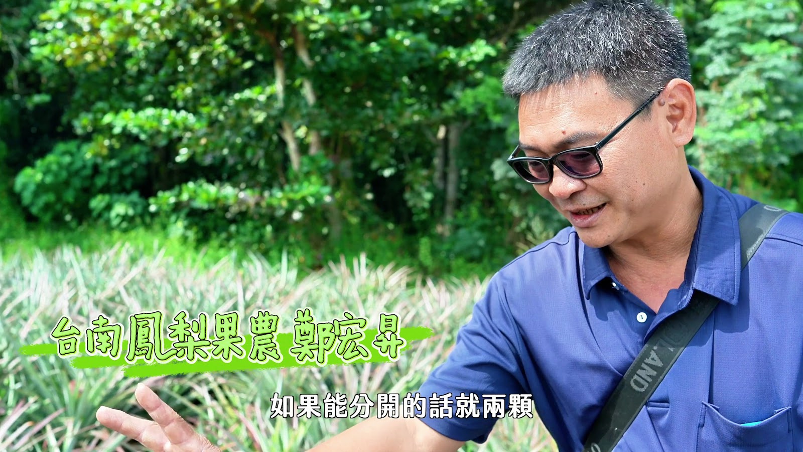 小夜台南水果趣 screenshot 15