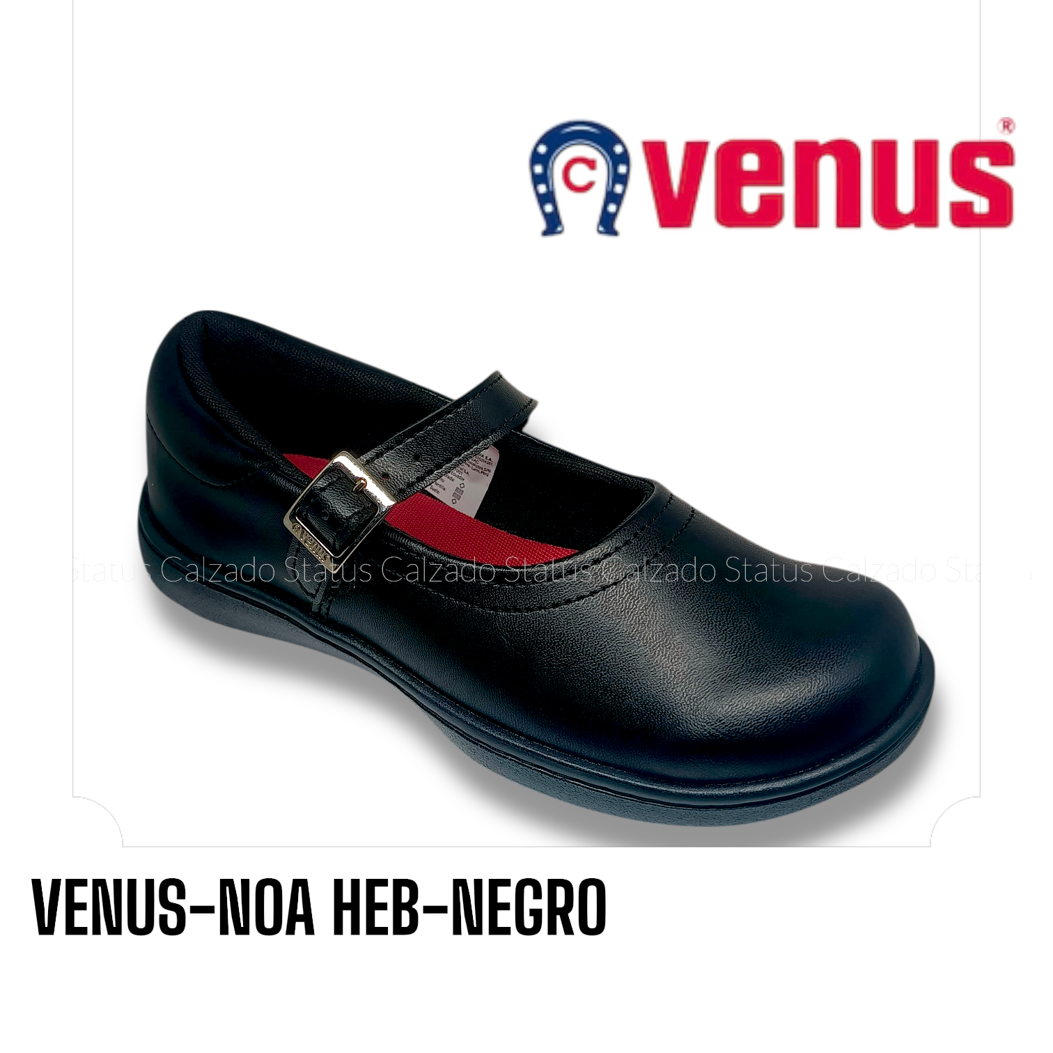 VENUS-NOA HEB-NEGRO