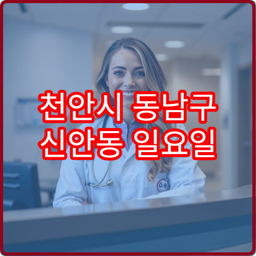 천안시 동남구 신안동 일요일 안과 진료 병원 시력 저하 검사 안내