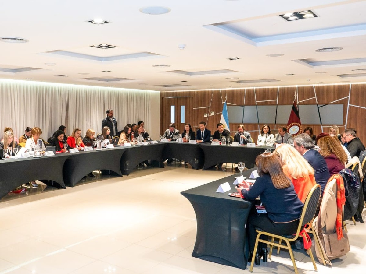 Tierra del fuego reafirmó su compromiso en el consejo federal para la lucha contra la trata de personas