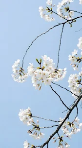 Abstract Blue and Purple Neon Geometric Render