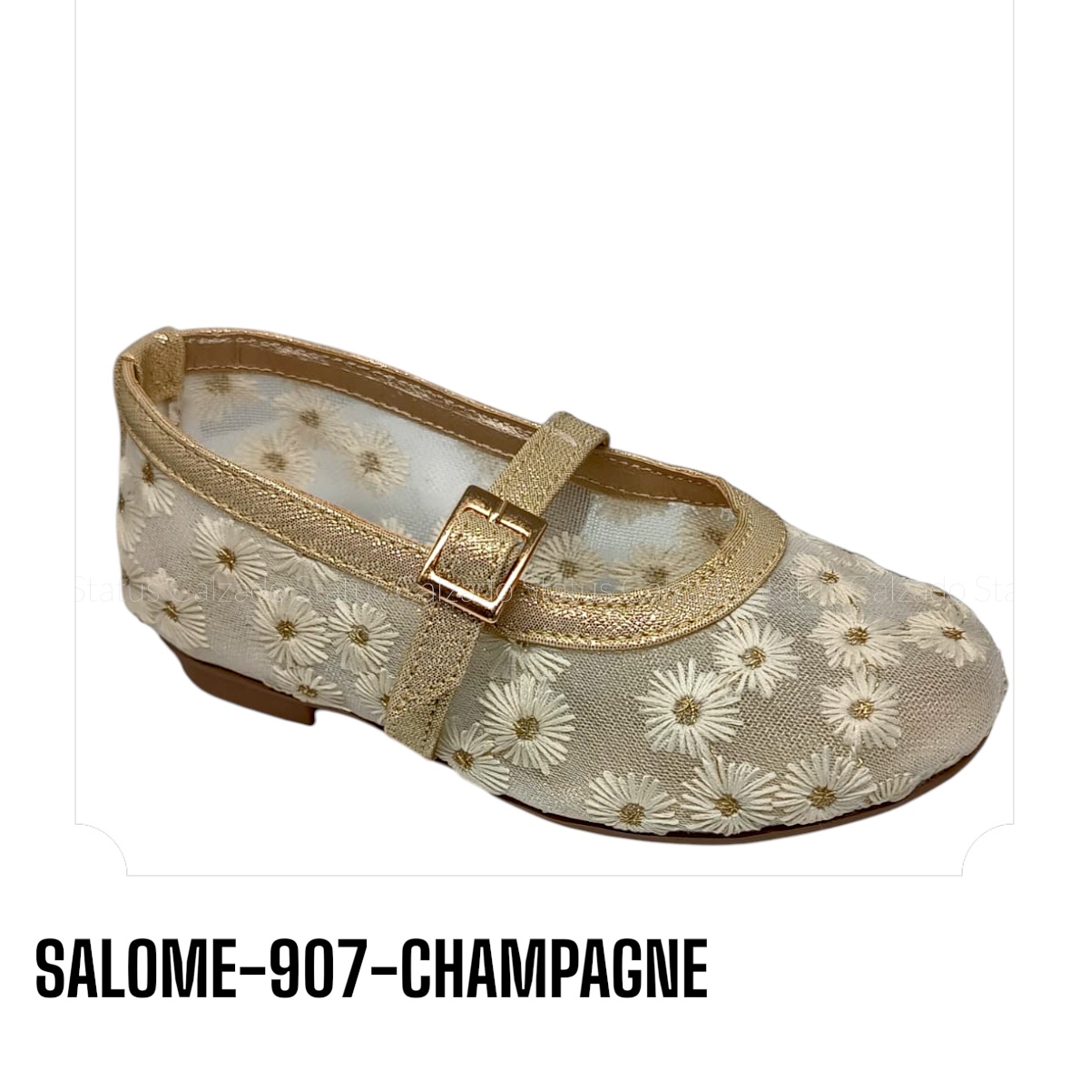 SALOME-907-CHAMPAGNE