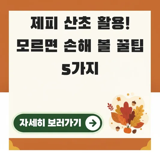 제피 산초 효능 향미 요리 활용