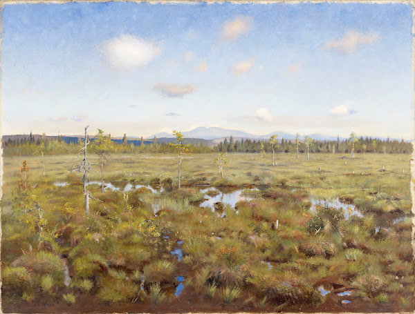 Landscape from Lapland 1892