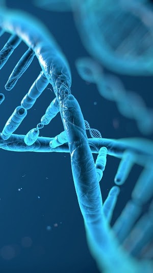 DNA Picture