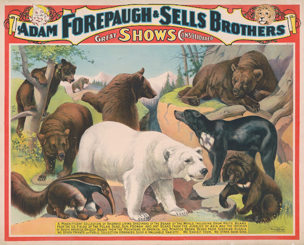 The Adam Forepaugh and Sells Brothers Americas greatest shows consolidated A mag