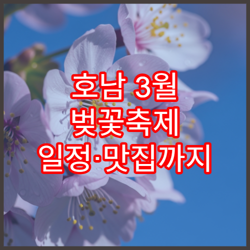 호남 3월 벚꽃축제 일정·맛집까지 한 번에 정리