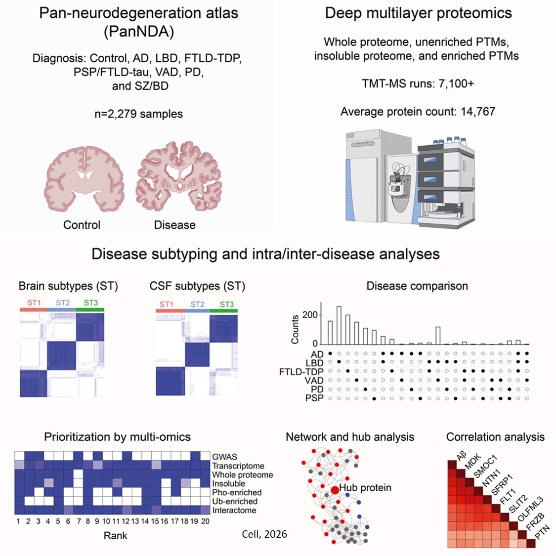 Pan-neurodegeneration proteomics reveals disease subtypes and molecular signatures