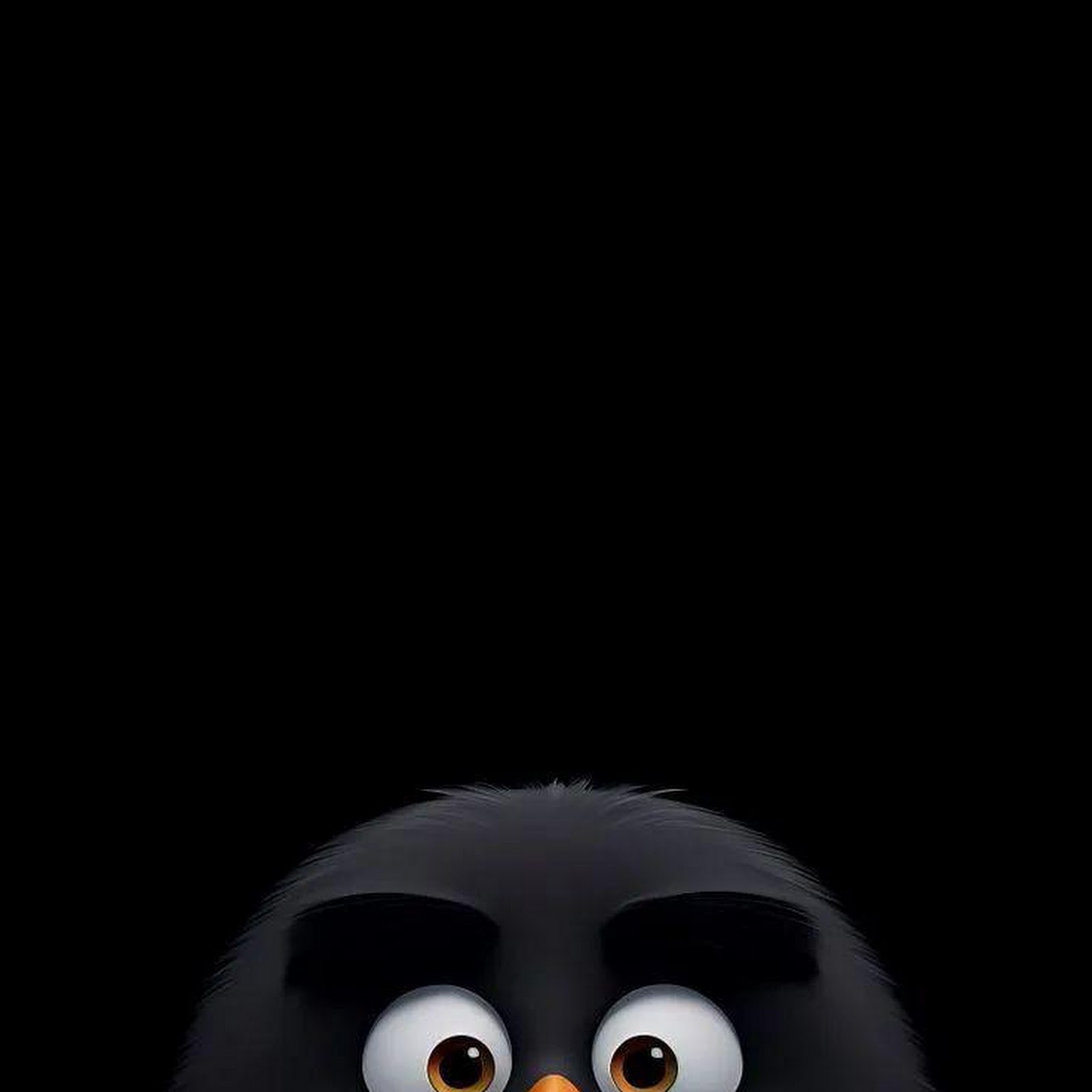 Download Bomb From Angry Birds iPhone