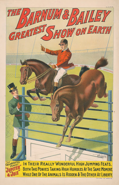 The Barnum  Bailey Greatest Show on EarthThe celebrated ponies Jupiter  Joie  18