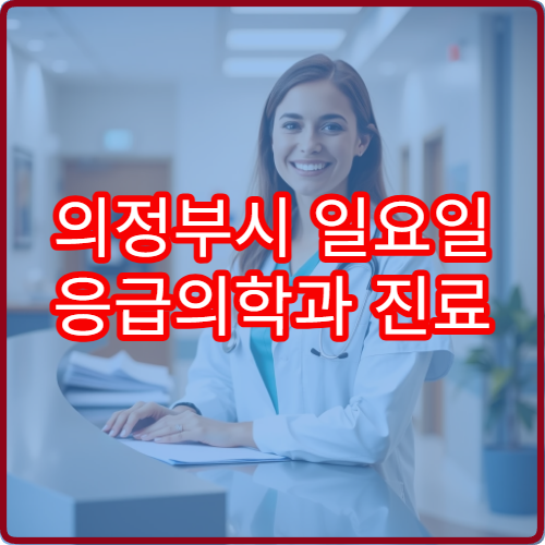 의정부시 일요일 응급의학과 진료 병원 응급환자 진료·처치 가능