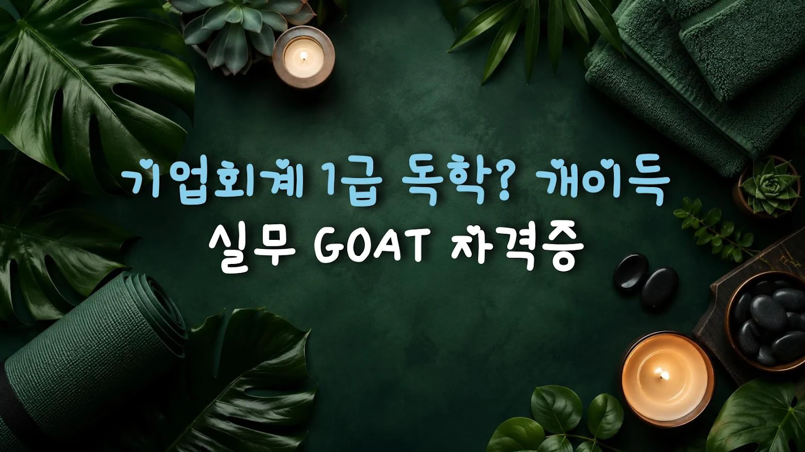 기업회계 1급 독학? 개이득 실무 GOAT 자격증
